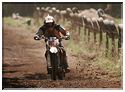 moto cross 117