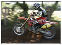 moto cross 194